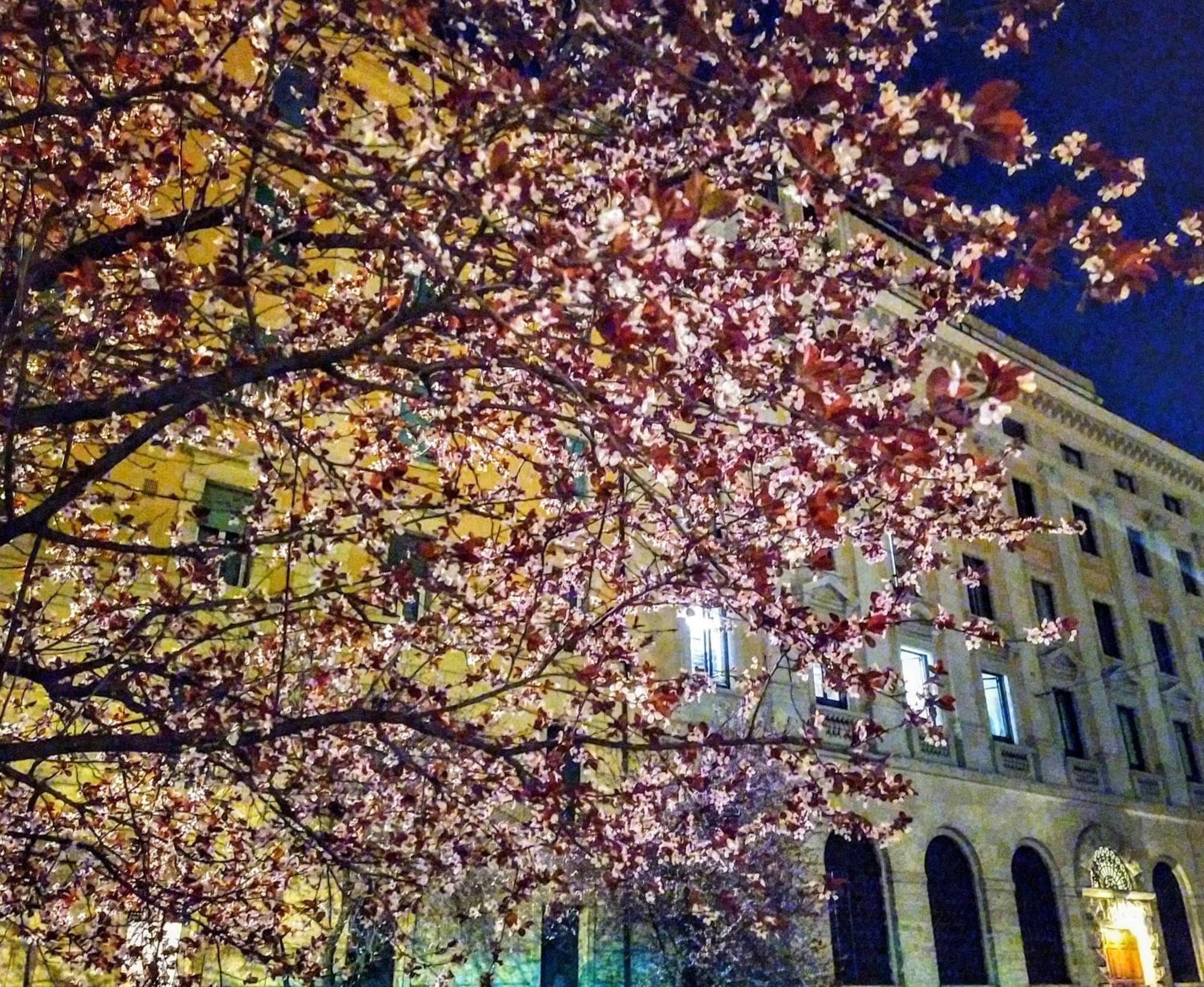 Gh Lorvand, Rome